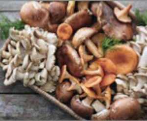 mushrooms