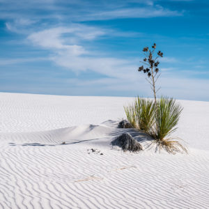 White Sands NM