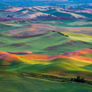 Sanford Radom Palouse WA