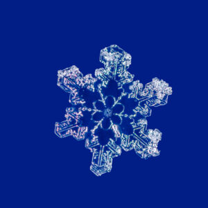 Blue Snowflake Dan