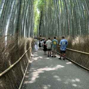 curved bamboo