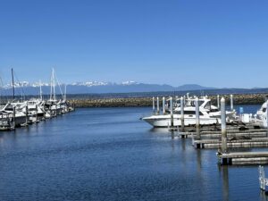 Smaller Shisole Bay Marina Nick