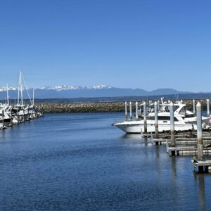 Smaller Shisole Bay Marina Nick