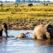 Africa 1 7