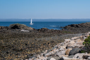 Dan Cape Cod sea with boat