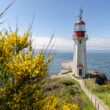 lighthouse Victoria