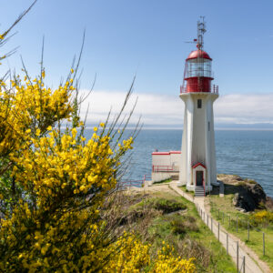 lighthouse Victoria
